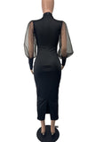 Elegant Puff Sleeve Casual Dress