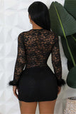 Lace Overlay Casual Dress with Feather Accents