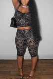 Lace Crop Top and Capri Pants Set