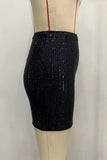 Sequin Embellished Mini Skirt