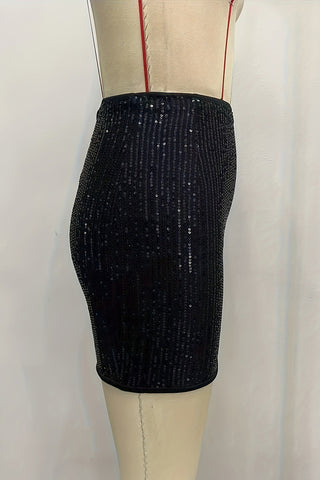 Sequin Embellished Mini Skirt
