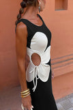 Sleeveless Floral Detail Maxi Dress