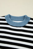 Striped Panel Colorblock Sleeve Sweater