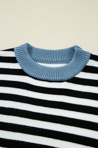 Striped Panel Colorblock Sleeve Sweater