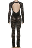 Elegant Lace Pants Set