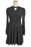 Lace Sleeve A-Line Casual Dress