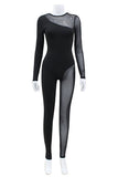 Sheer Panel Long Sleeve Jumpsuit