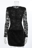 Lace and Fur Mini Dress