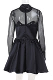 Sheer Long Sleeve Mini Dress