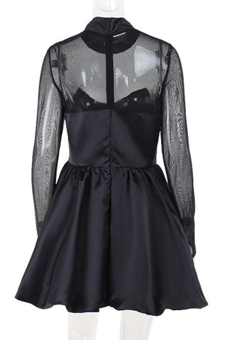 Sheer Long Sleeve Mini Dress