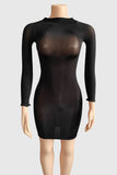 Sheer Long Sleeve Night Out Dress