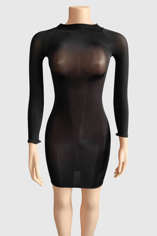 Sheer Long Sleeve Night Out Dress