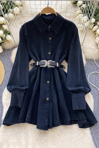 Button-Down Denim Dress with Belt