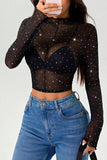 Sheer Long Sleeve Crop Top