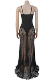 Elegant Sheer Lace Evening Gown