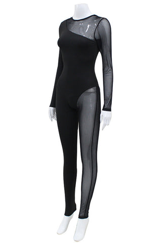 Sheer Panel Long Sleeve Jumpsuit