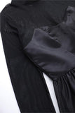 Sheer Long Sleeve Mini Dress