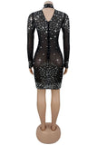 Embellished Illusion Evening Dress
