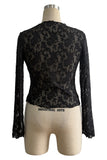 Sheer Lace Long Sleeve Top