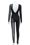 Sheer Panel Long Sleeve Jumpsuit
