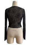 Sheer Spiderweb Long Sleeve Top
