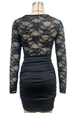 Solid Lace Panel Long Sleeve Bodycon Dress