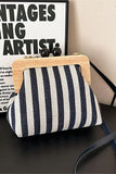 Striped Frame Crossbody Bag