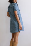 Button-Front Denim Dress with Wide Collar