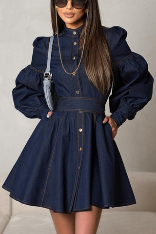 Button-Down Puff Sleeve Denim Dress