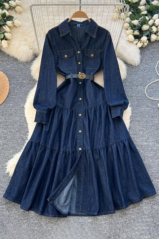 Button-Down Denim Dress with Belt