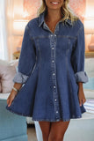 Shirt Collar Long Sleeve Flared Mini Dress