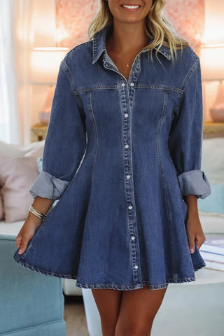Shirt Collar Long Sleeve Flared Mini Dress
