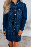 Button-Front Denim Dress with Belt