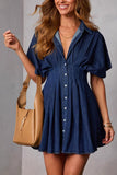 Button-Down Denim Dress
