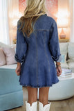 Shirt Collar Long Sleeve Flared Mini Dress