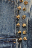 Fringe Embellished Denim Jacket