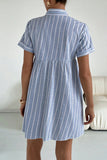 Striped Button Front Mini Dress