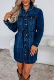 Button-Up Denim Dress with Belt