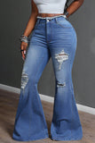 Distressed Flare Jeans with Raw Hem