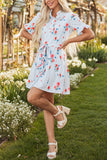 Stripe Floral Pattern Belted Mini Dress