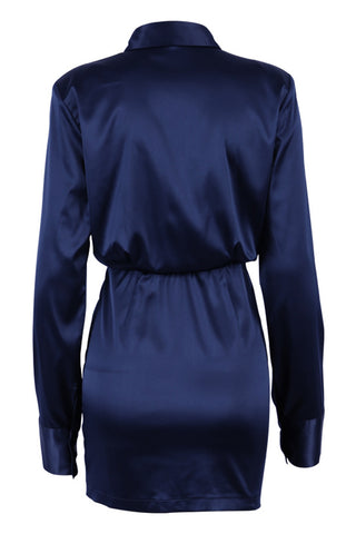 Chic Button-Up Collared Mini Dress