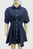 Button-Down Denim Dress