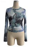 Abstract Print Long Sleeve Mesh Top