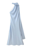 Asymmetric Neckline Casual Dress