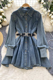 Button-Down Denim Dress with Belt