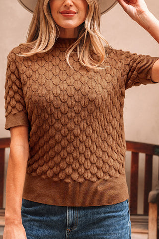 Textured Knit Short Sleeve Sweater