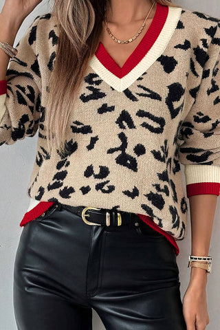 V-Neck Leopard Print Sweater