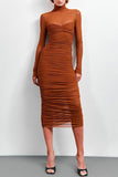 Ruched Mesh Turtleneck Midi Dress