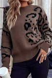 Stylish Animal Pattern Sweater