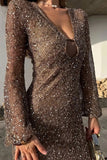 V-Neck Sequin Long Sleeve Dress